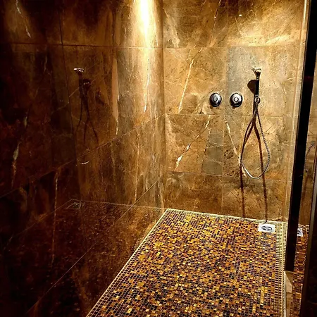Arthotel Ana Gold Ξενοδοχείο 3*