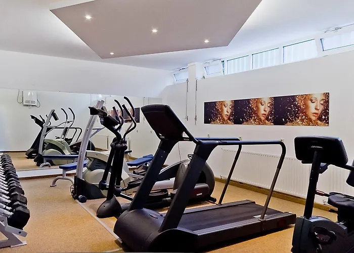 Arthotel Ana Gold Hotel 3*
