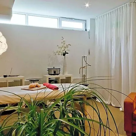 Arthotel Ana Gold 酒店 3*